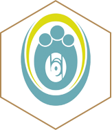 شرکت فروشگاه زنجیره ای اتکا شرکت فروشگاه زنجیره ای اتکا